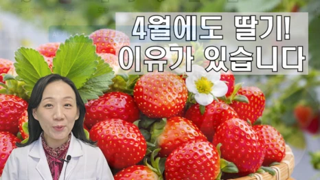 %EB%B8%94270-1.png?type=w466