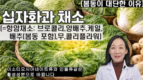 %EB%B8%94262-3.png?type=w466