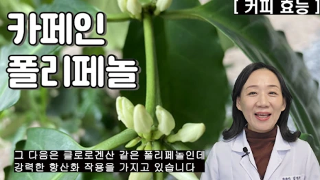 %EB%B8%94251-2.png?type=w466