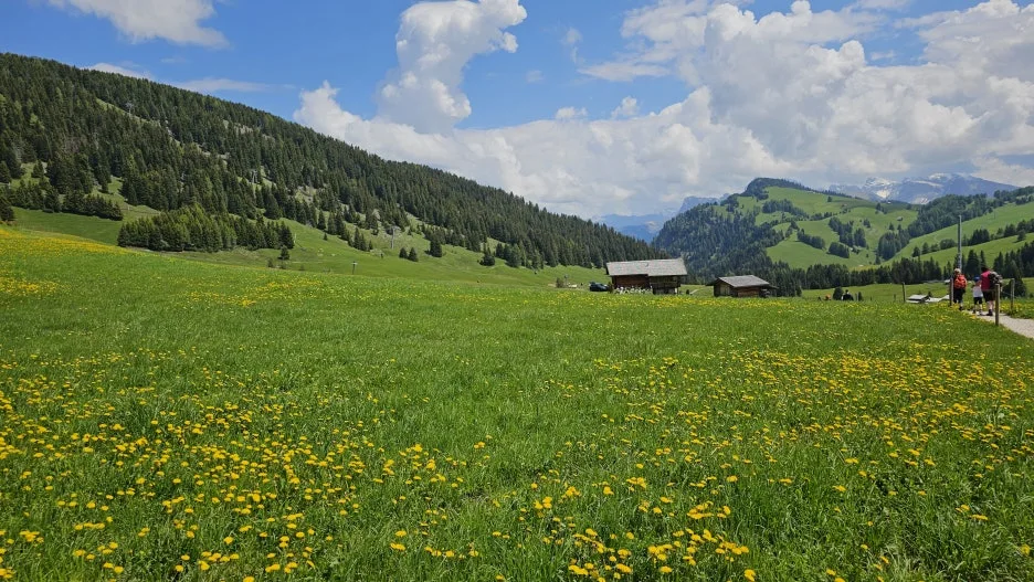 20230608_113945.jpg?type=w1