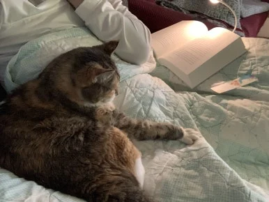 IMG_0614.JPEG?type=w386