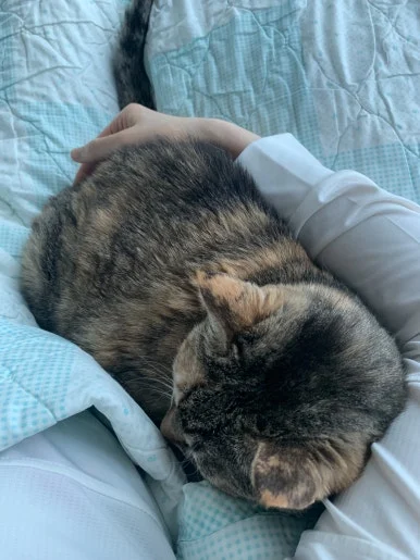 IMG_0607.JPEG?type=w386