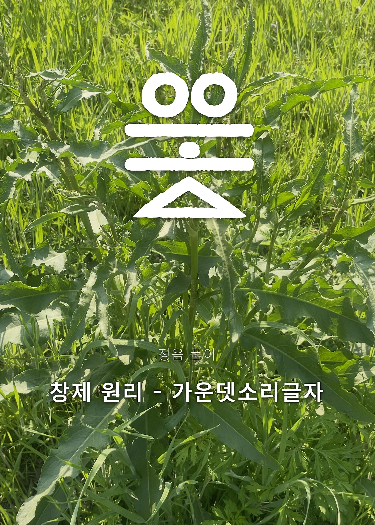 ***한글정음-우주비밀코드-내지만-20260106출판 이후 작업.091.jpeg