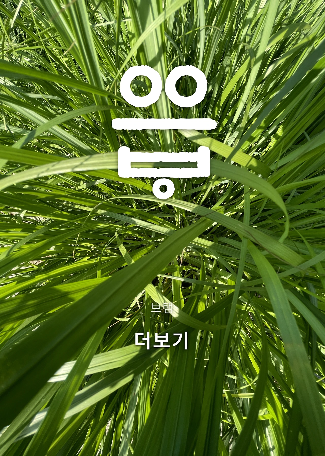 ***한글정음-우주비밀코드-내지만-20260106출판 이후 작업.277.jpeg