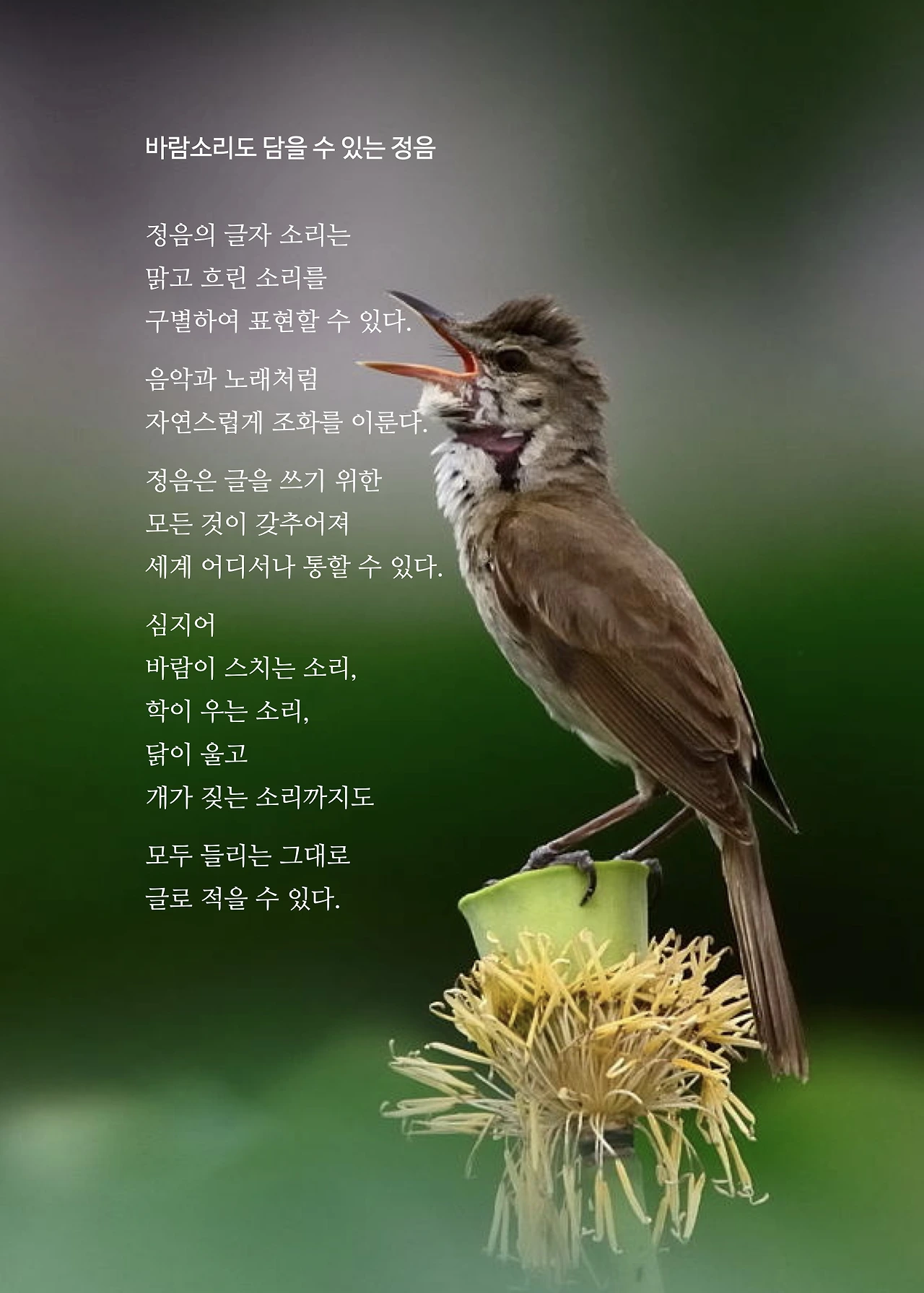 ***한글정음-우주비밀코드-내지만-20260106출판 이후 작업.220.jpeg