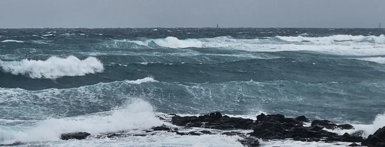 KakaoTalk_20260121_171426506_02.jpg?type=w773