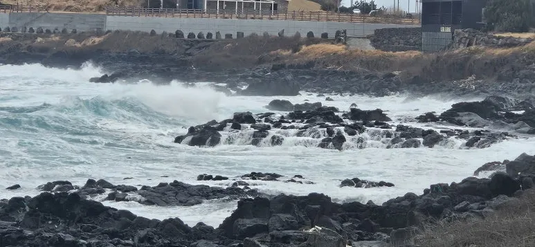 KakaoTalk_20260121_171426506_01.jpg?type=w773