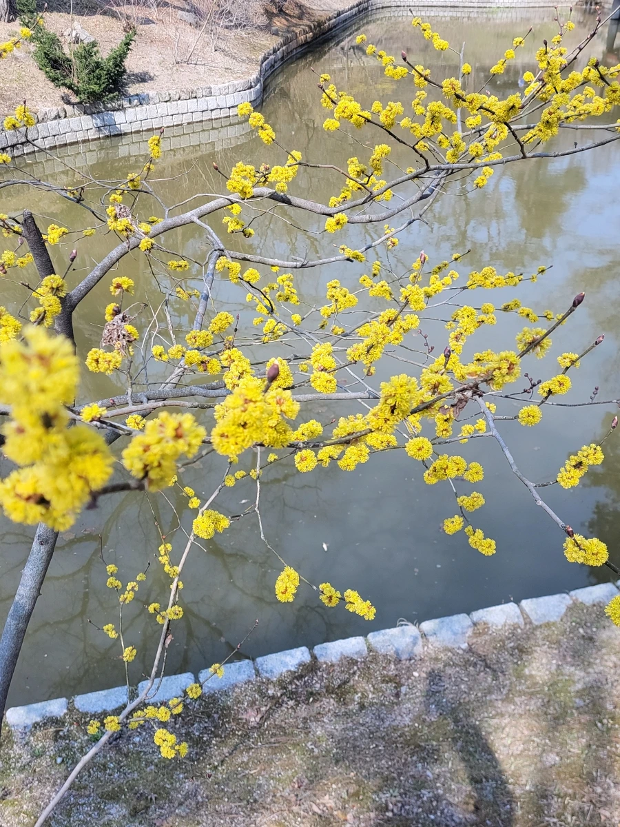 900%EF%BC%BF20260324%EF%BC%BF105652.jpg?type=w966