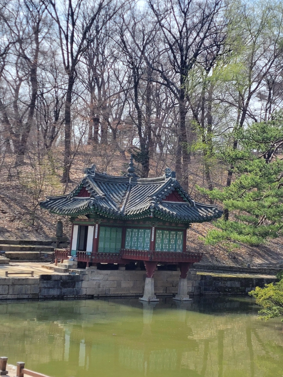 900%EF%BC%BF20260324%EF%BC%BF111325.jpg?type=w966