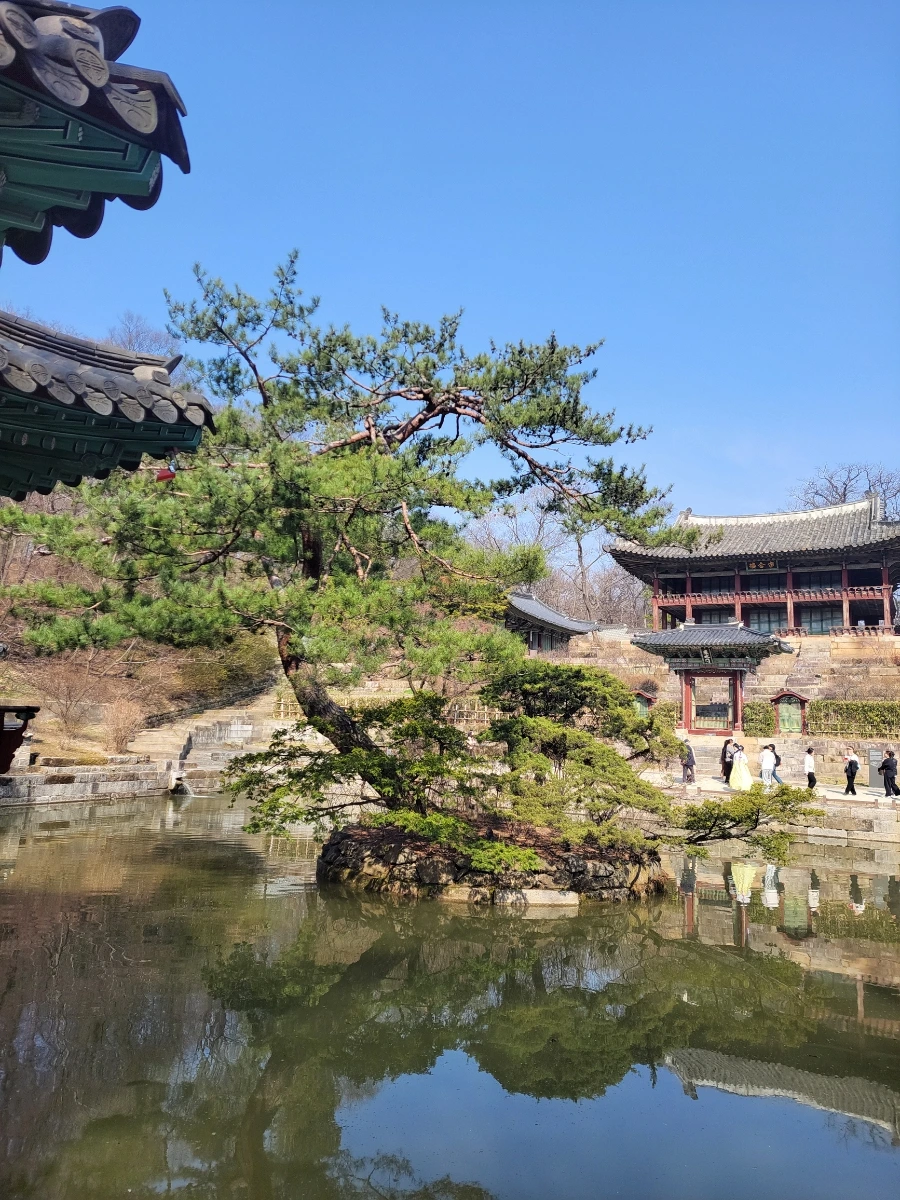 900%EF%BC%BF20260324%EF%BC%BF101255.jpg?type=w966