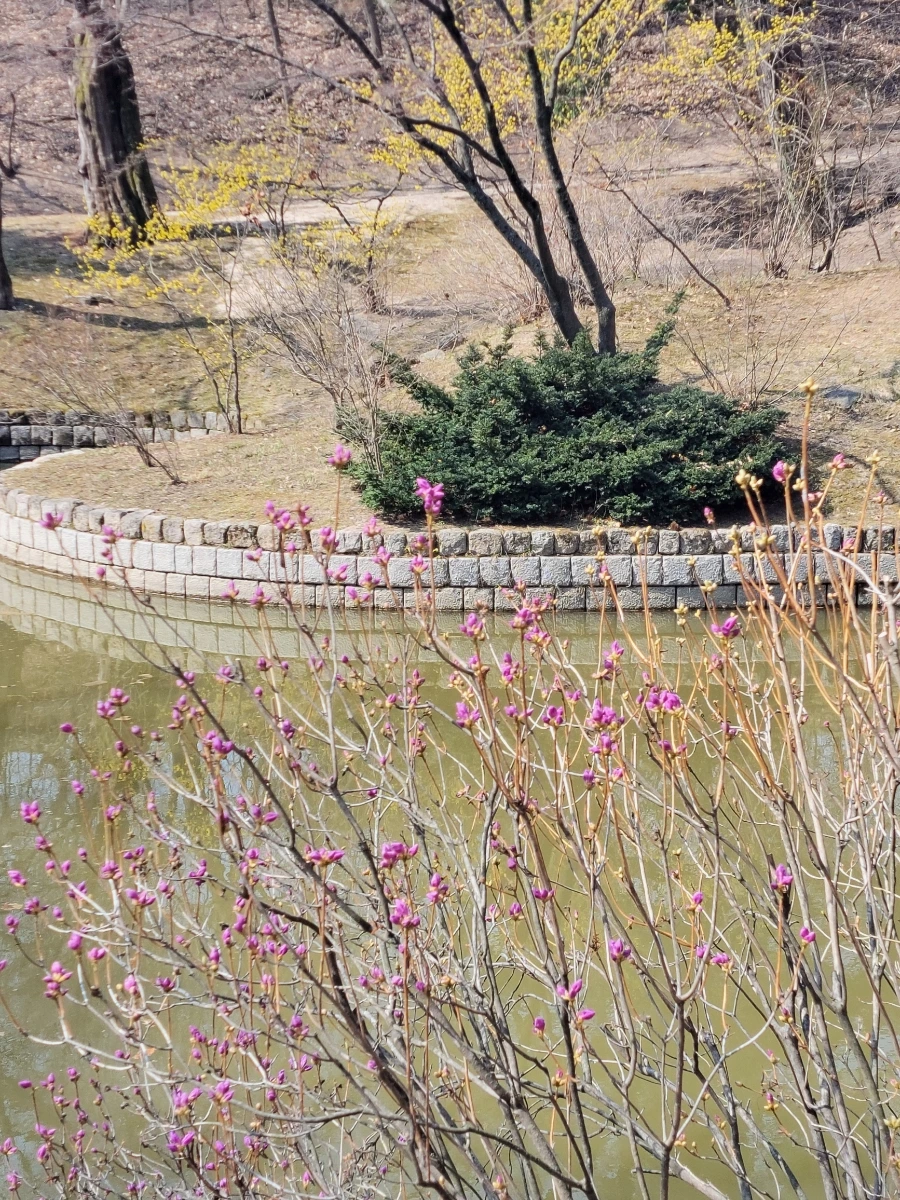 900%EF%BC%BF20260324%EF%BC%BF105532.jpg?type=w966