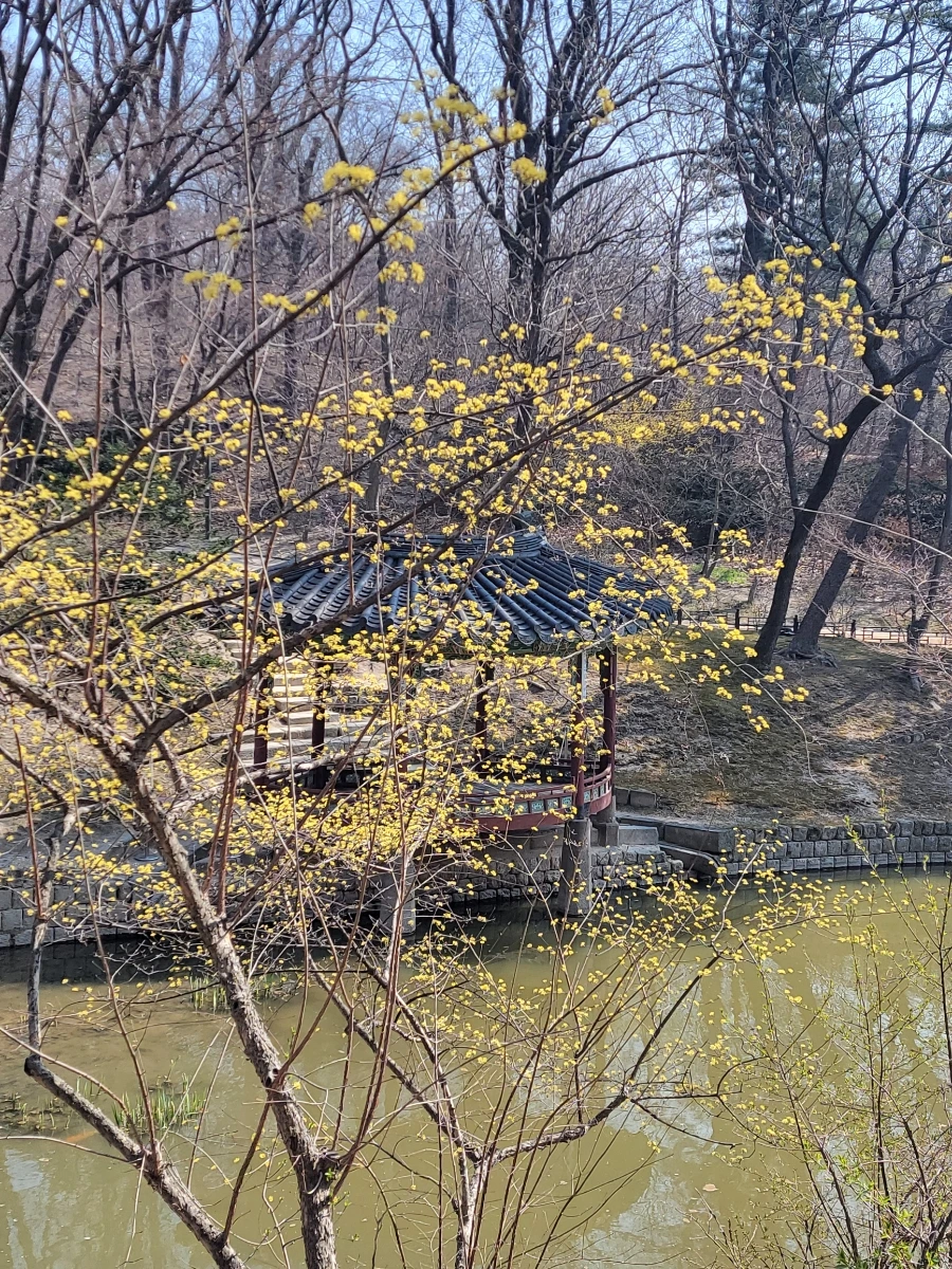 900%EF%BC%BF20260324%EF%BC%BF103943.jpg?type=w966