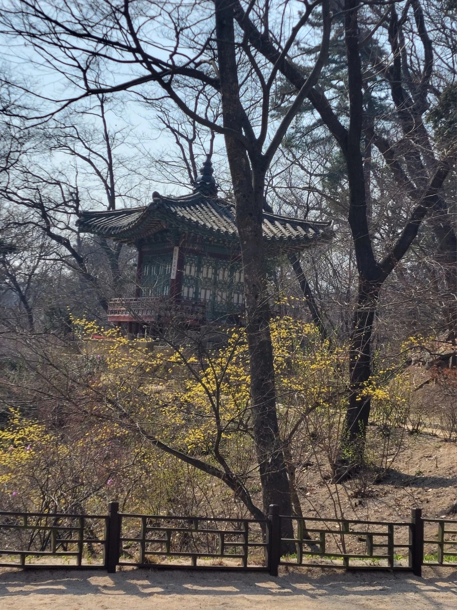 900%EF%BC%BF20260324%EF%BC%BF104139.jpg?type=w966