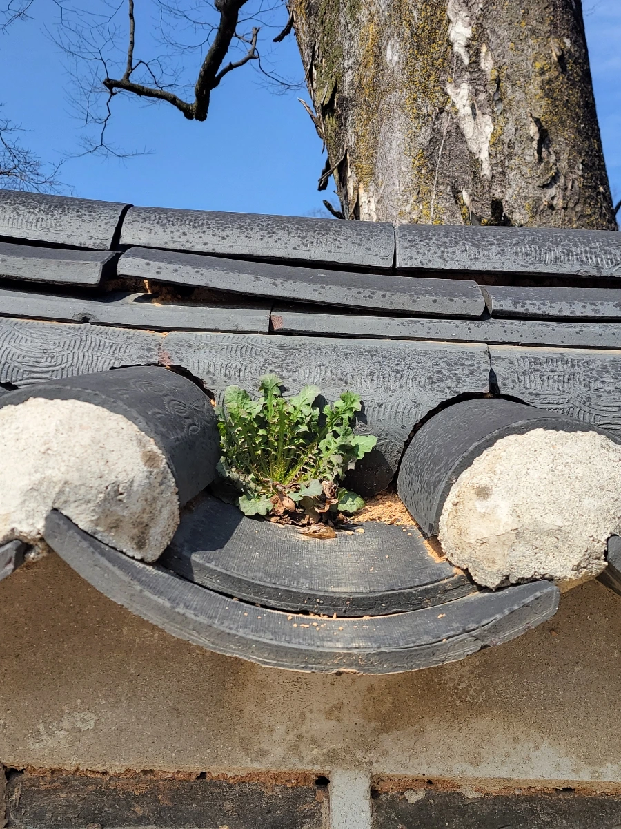 900%EF%BC%BF20260324%EF%BC%BF103130.jpg?type=w966