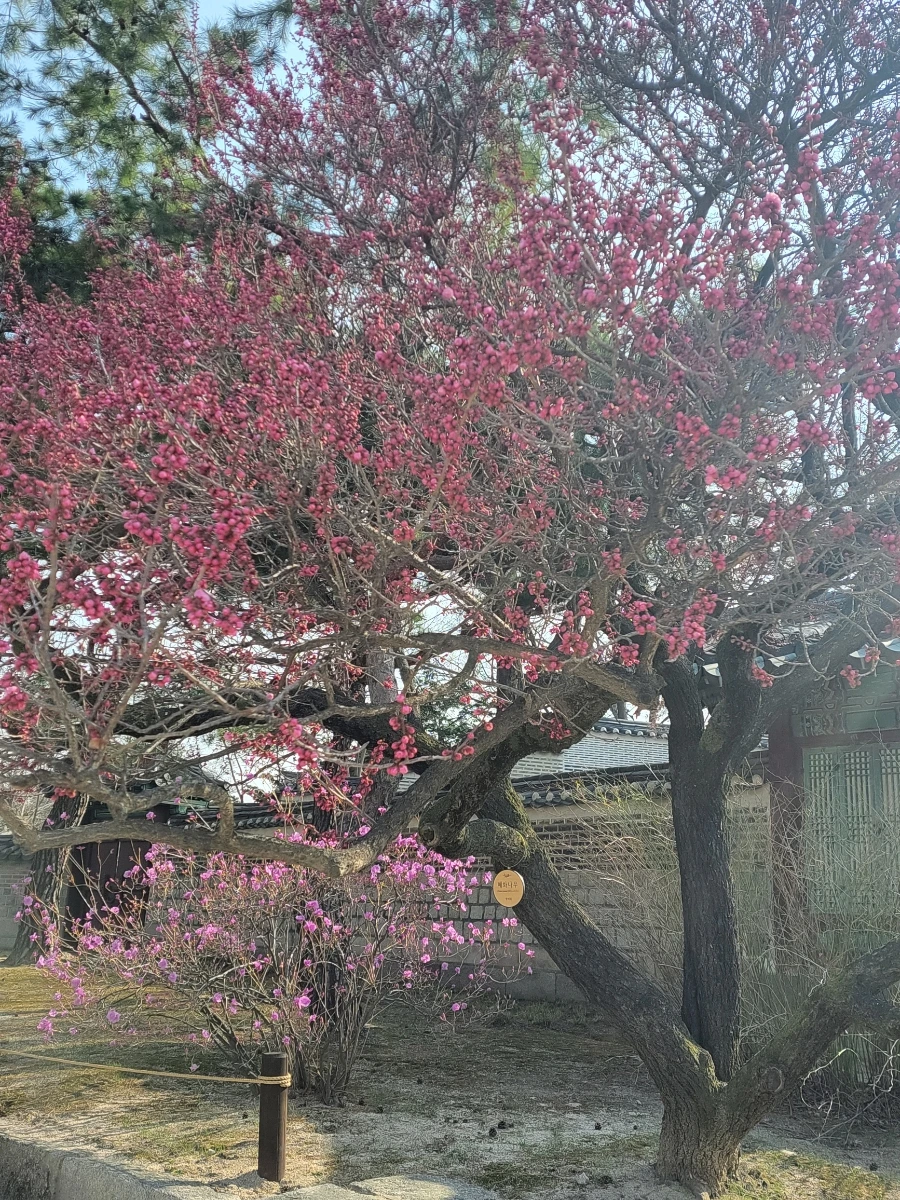 900%EF%BC%BF20260324%EF%BC%BF093442.jpg?type=w966