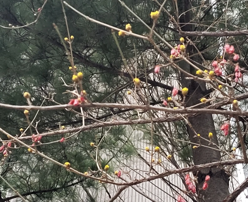 900%EF%BC%BF20260314%EF%BC%BF182725.jpg?type=w1