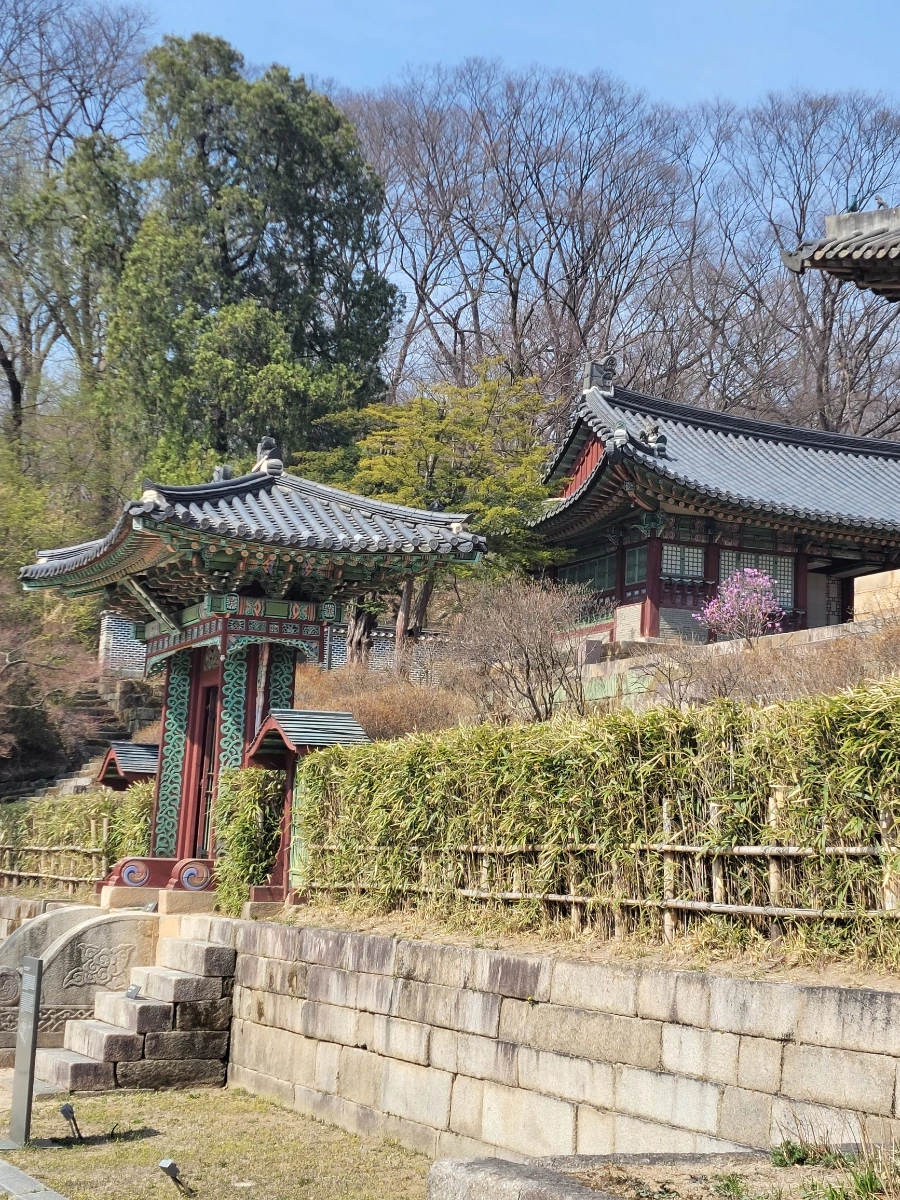 900%EF%BC%BF20260324%EF%BC%BF111307.jpg?type=w966