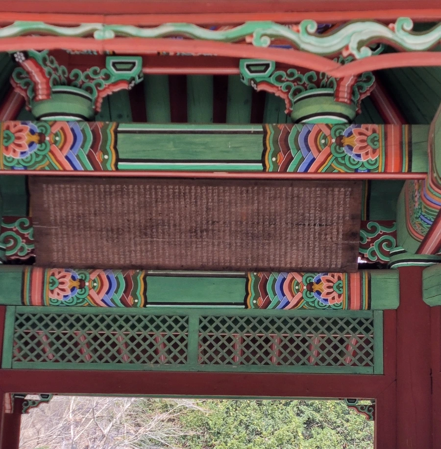 SE-926d71f1-27c6-11f1-aeac-09e532cf276a.jpg?type=w966