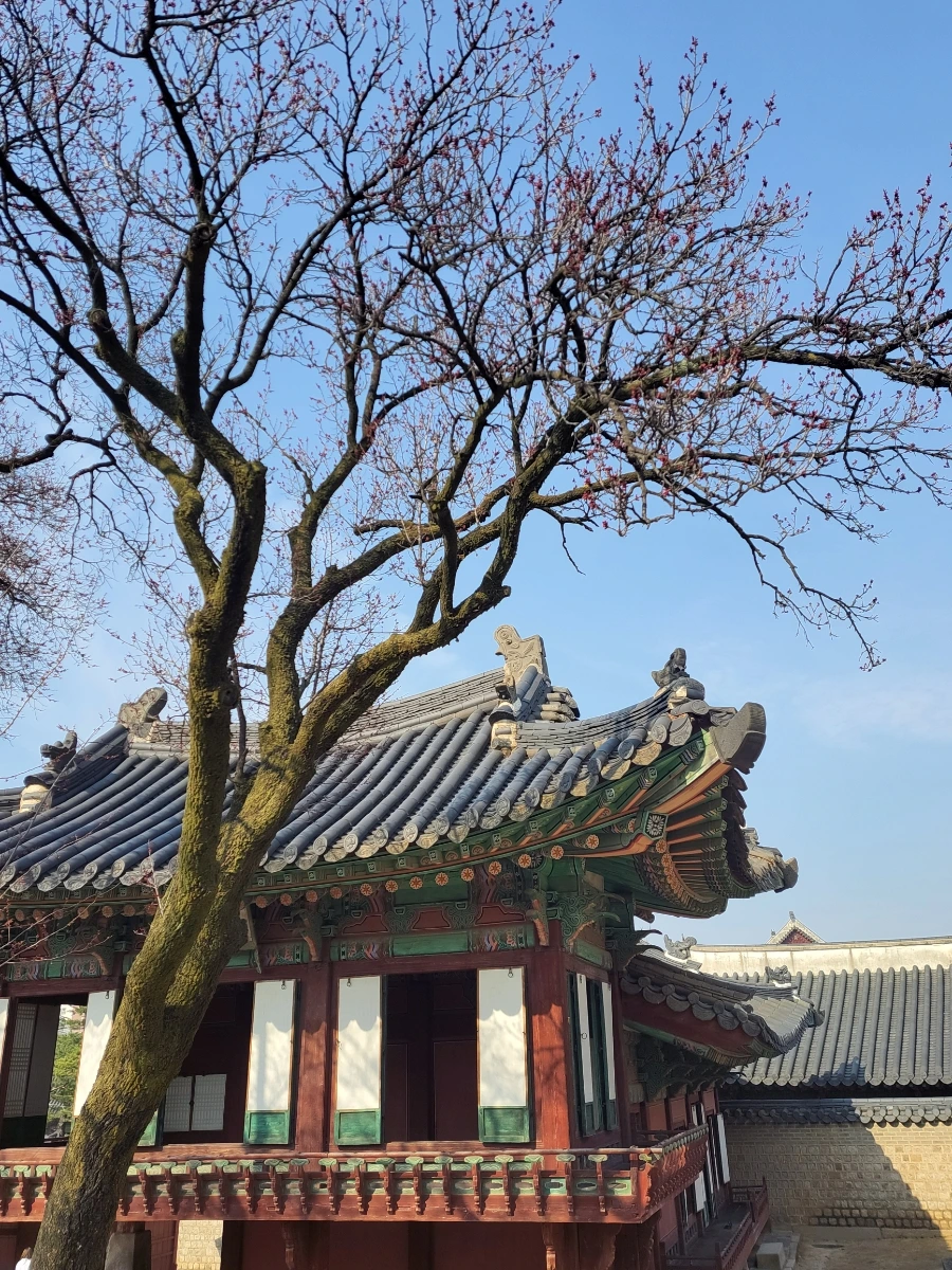 900%EF%BC%BF20260324%EF%BC%BF093806.jpg?type=w966