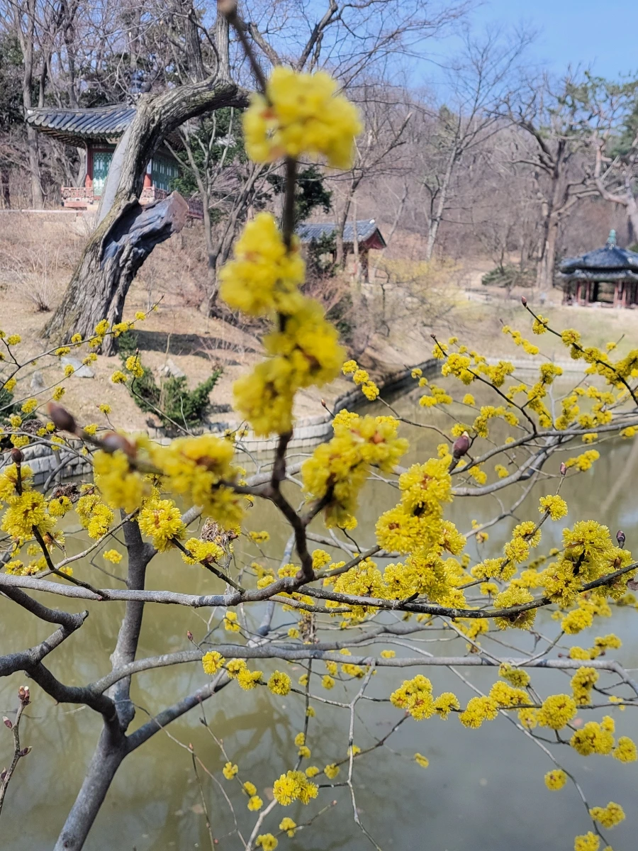 900%EF%BC%BF20260324%EF%BC%BF105632.jpg?type=w966