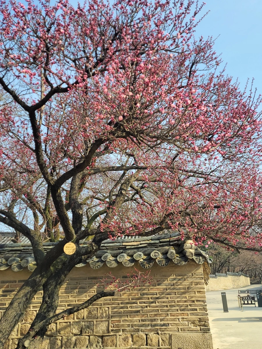 900%EF%BC%BF20260324%EF%BC%BF093139.jpg?type=w966