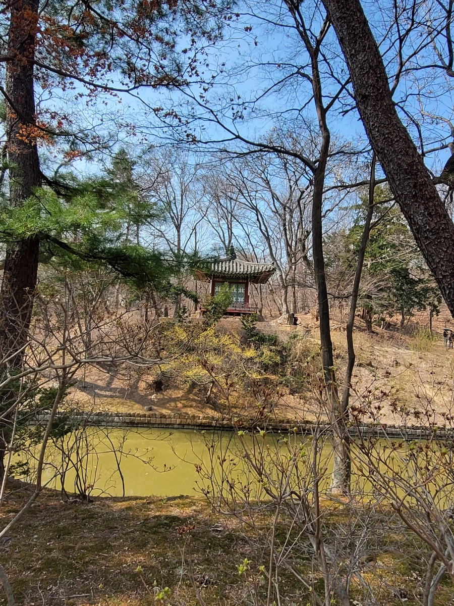 900%EF%BC%BF20260324%EF%BC%BF105134.jpg?type=w966