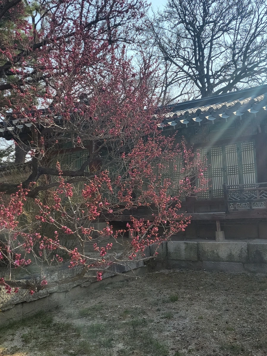 900%EF%BC%BF20260324%EF%BC%BF093346.jpg?type=w966