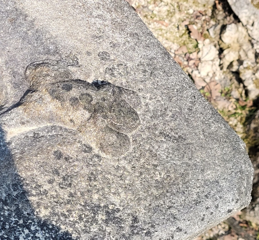 900%EF%BC%BF20260324%EF%BC%BF102621.jpg?type=w966