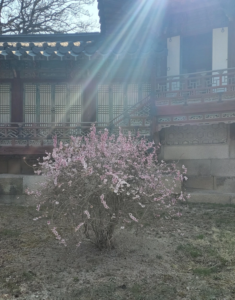 900%EF%BC%BF20260324%EF%BC%BF093339.jpg?type=w966