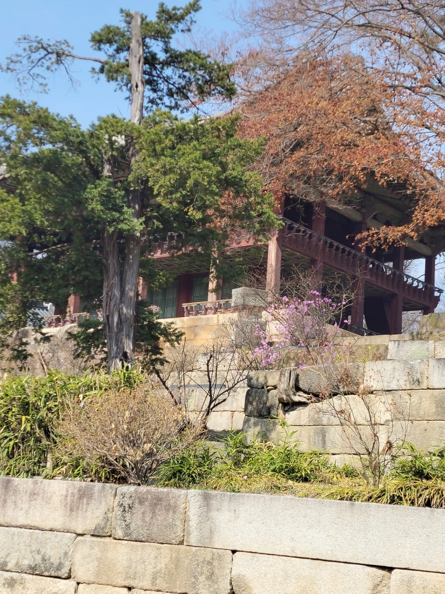 900%EF%BC%BF20260324%EF%BC%BF111300.jpg?type=w966