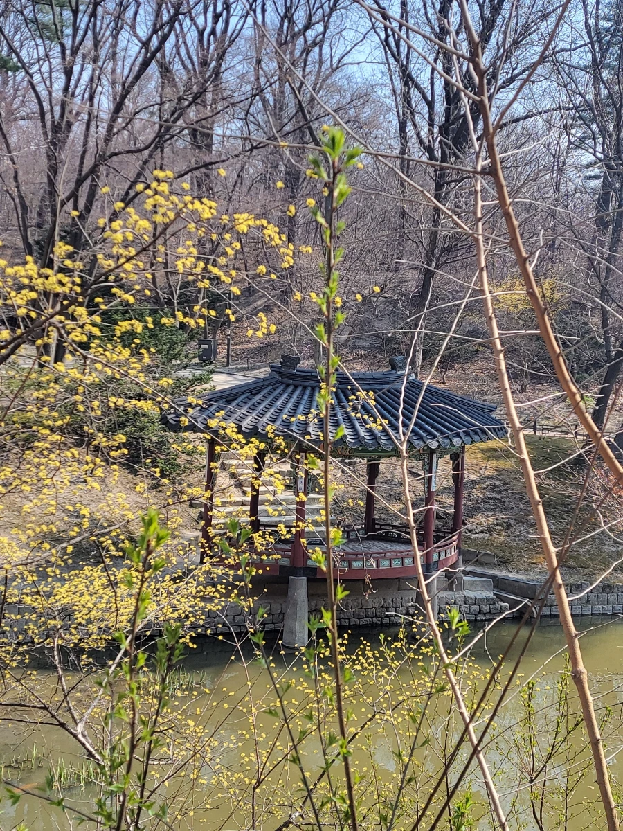 900%EF%BC%BF20260324%EF%BC%BF103950.jpg?type=w966