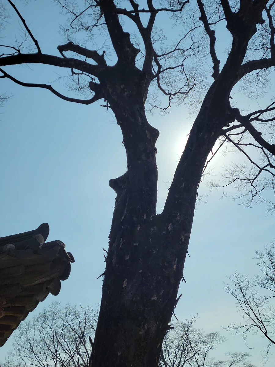 900%EF%BC%BF20260324%EF%BC%BF103241.jpg?type=w966