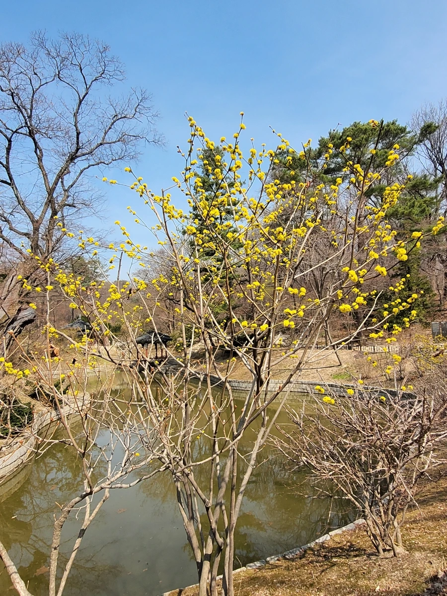 900%EF%BC%BF20260324%EF%BC%BF105826.jpg?type=w966