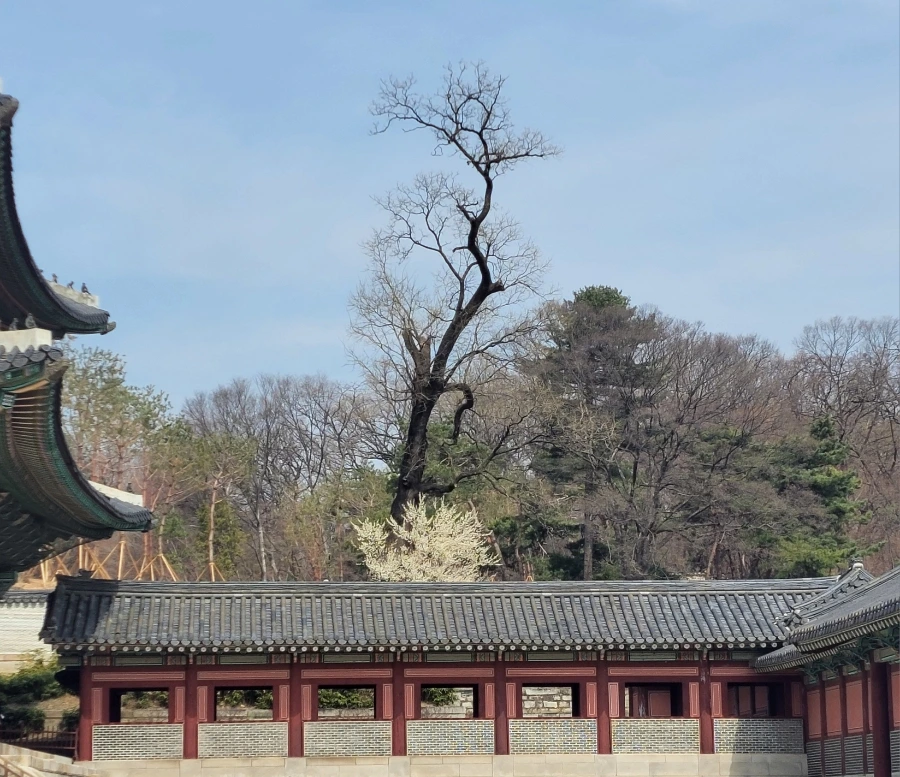 900%EF%BC%BF20260324%EF%BC%BF114032.jpg?type=w966