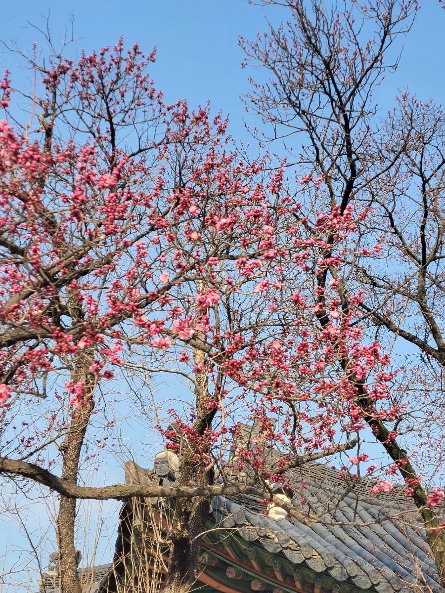 900%EF%BC%BF20260324%EF%BC%BF093715.jpg?type=w966