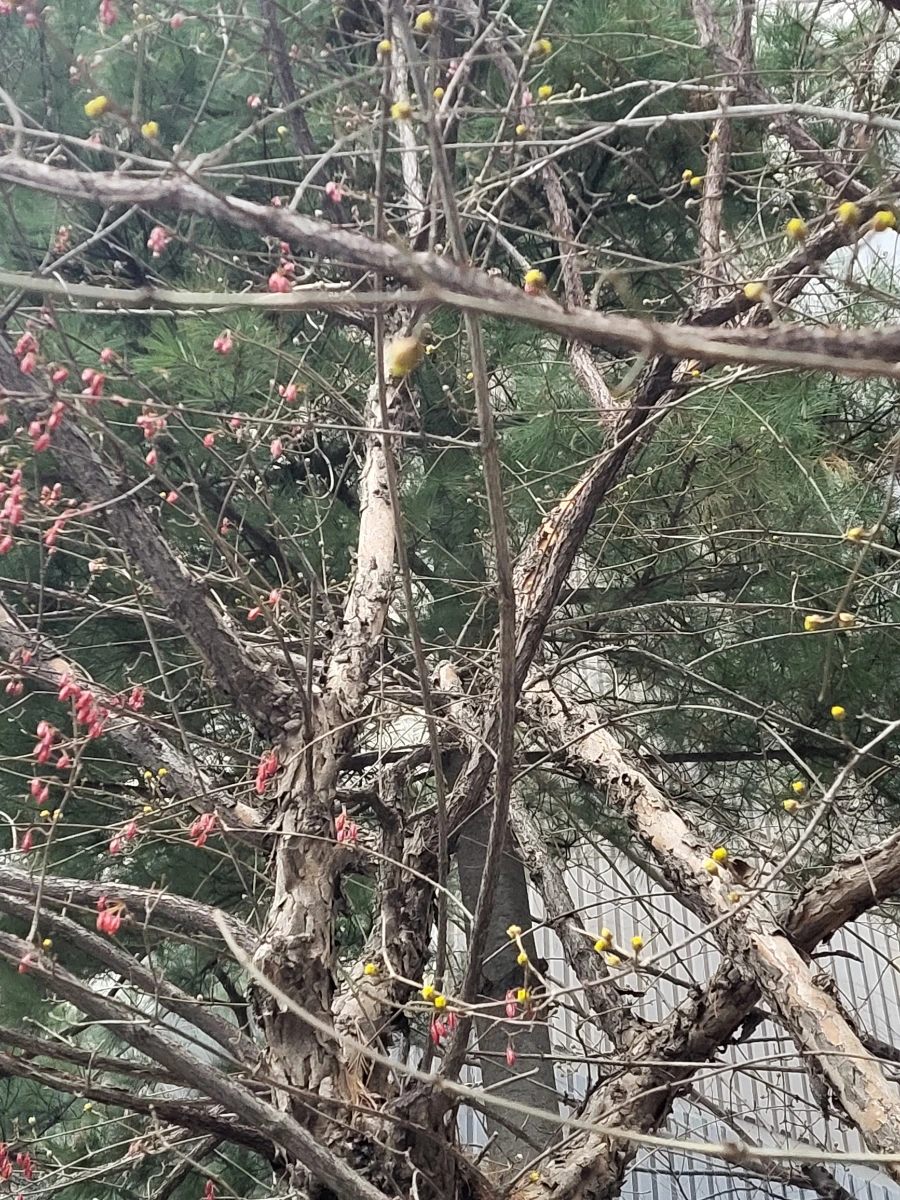 900%EF%BC%BF20260314%EF%BC%BF182718.jpg?type=w1