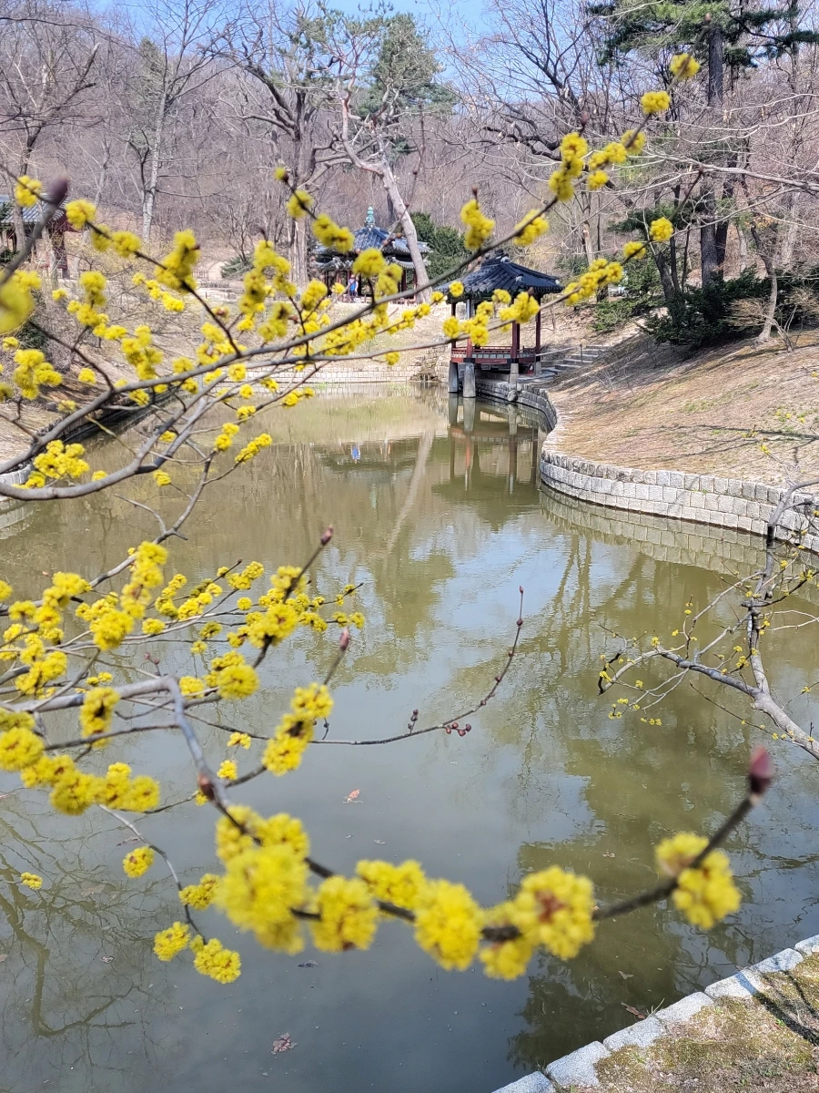 900%EF%BC%BF20260324%EF%BC%BF105644.jpg?type=w966