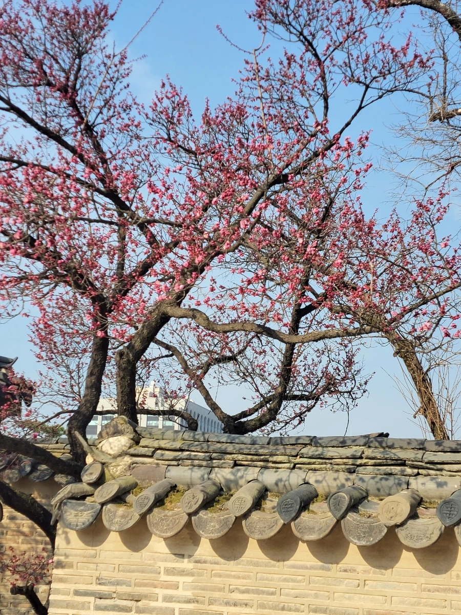 900%EF%BC%BF20260324%EF%BC%BF093603.jpg?type=w966