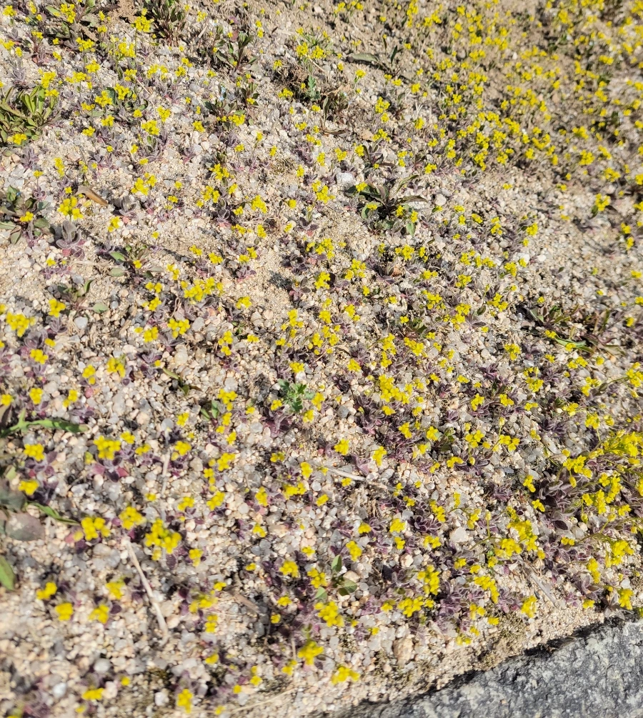 900%EF%BC%BF20260324%EF%BC%BF101434.jpg?type=w966