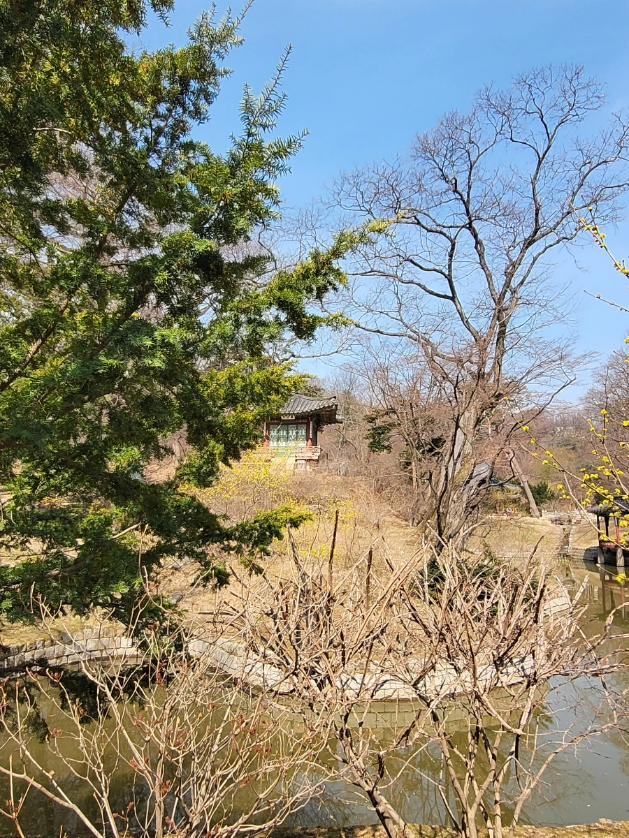 900%EF%BC%BF20260324%EF%BC%BF110304.jpg?type=w966