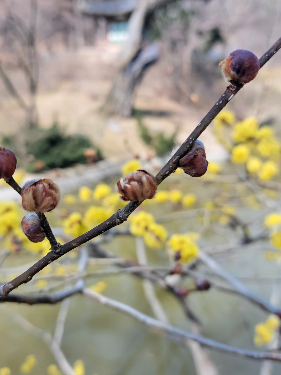 900%EF%BC%BF20260324%EF%BC%BF105728.jpg?type=w966