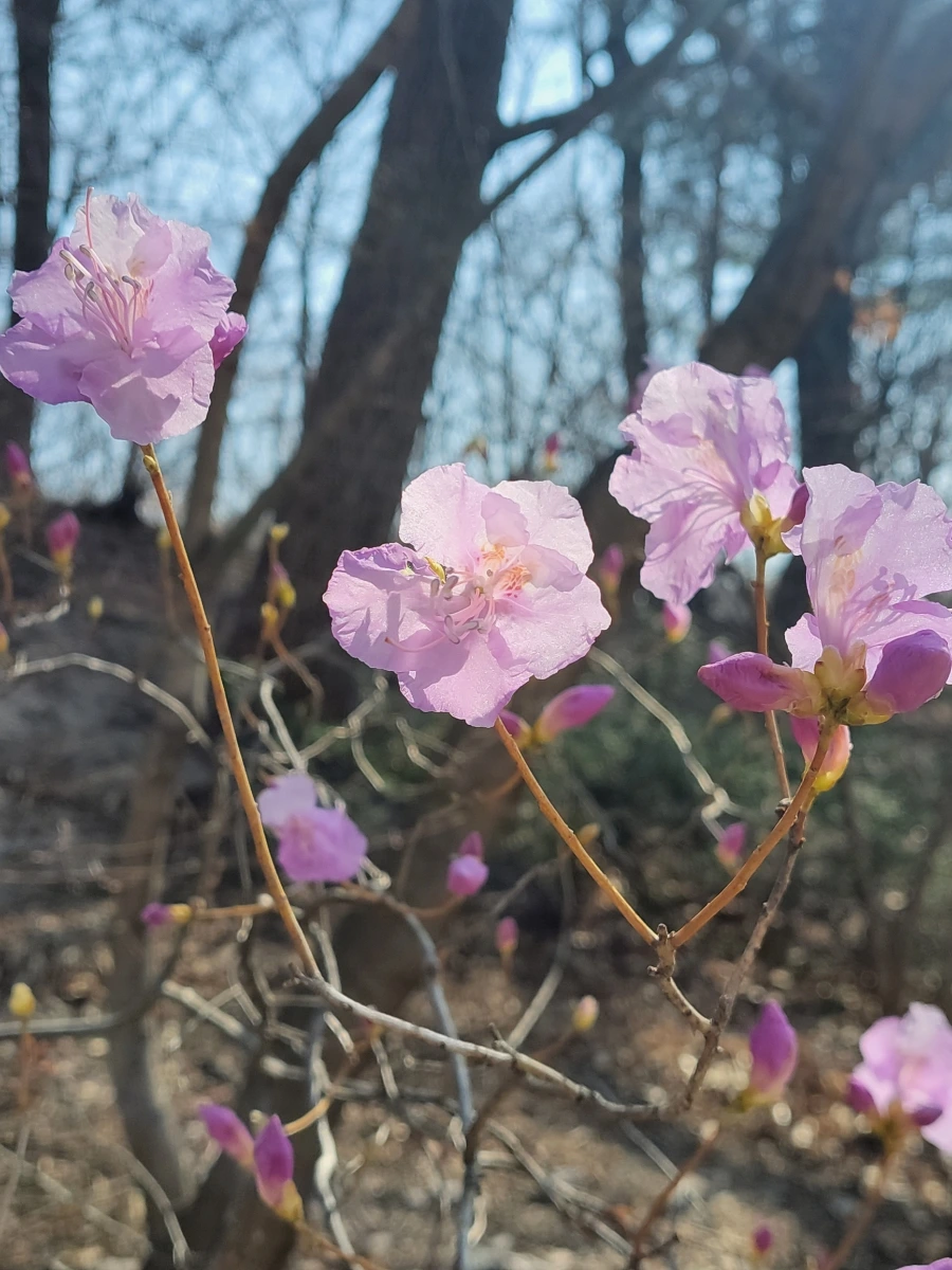 900%EF%BC%BF20260324%EF%BC%BF105309.jpg?type=w966