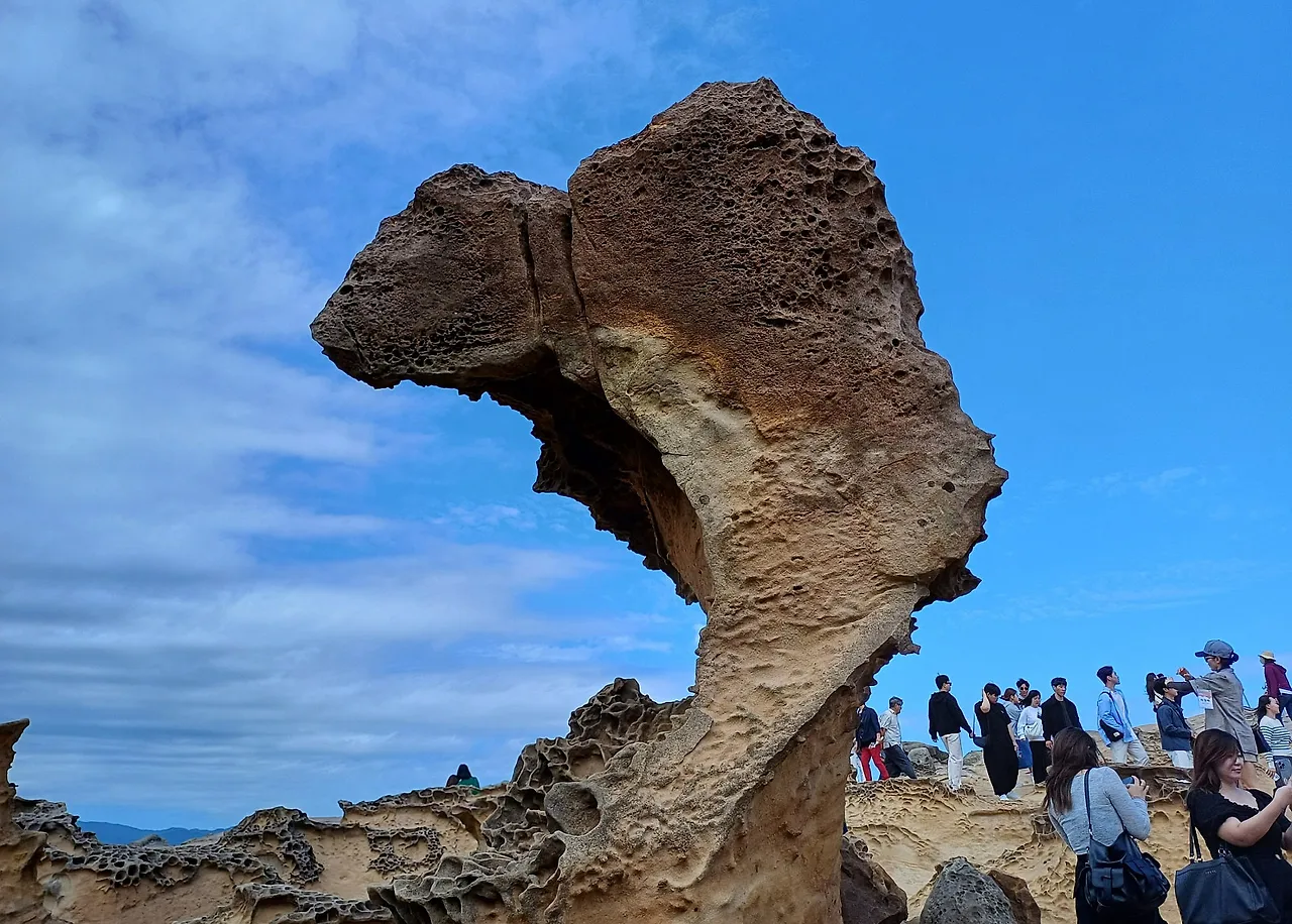 SE-5ec35225-457d-40a1-81f1-61e389e63a45.jpg?type=w1600