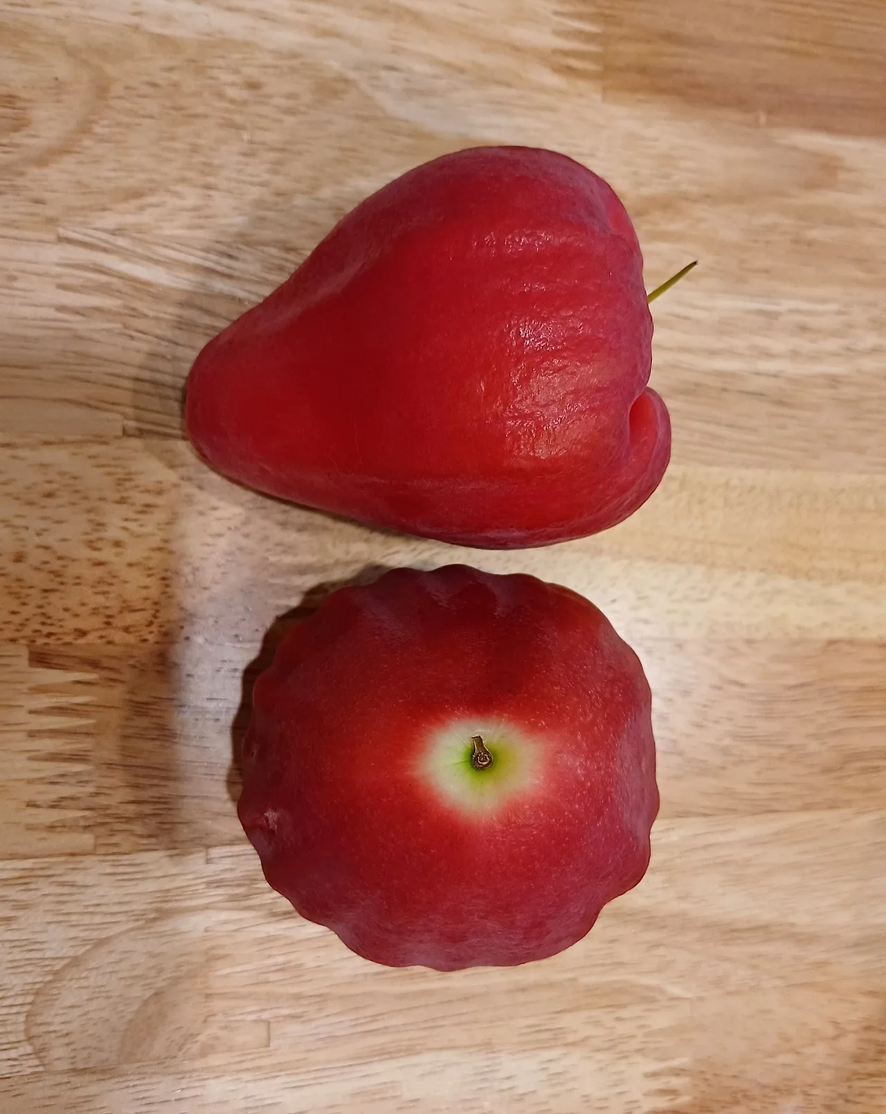 20231110_182535.jpg?type=w1600