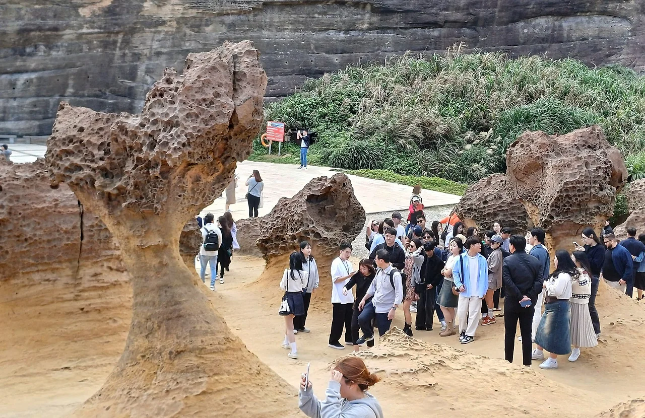 SE-0d20db36-da8c-42f0-ae73-09df06a11a5e.jpg?type=w1600