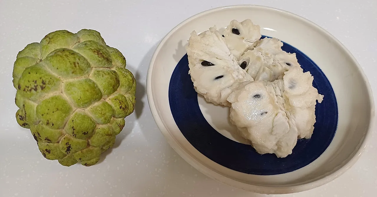 20231026_175847.jpg?type=w1600