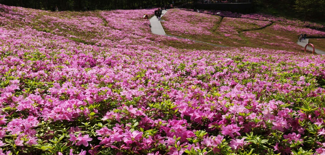 불암산 캨처.PNG