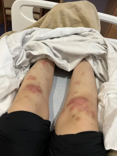 IMG%EF%BC%BF5395.JPG?type=w386