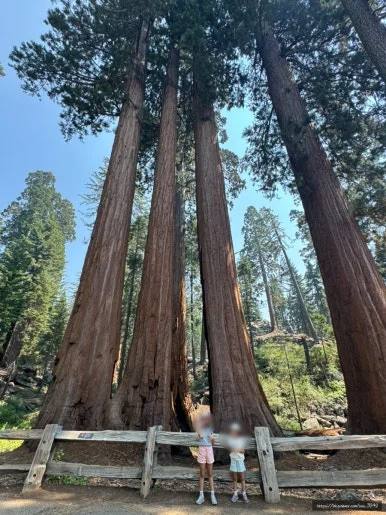 SE-AB0D88E0-D852-4FEB-BBDA-F469F669BA5C.jpg?type=w386