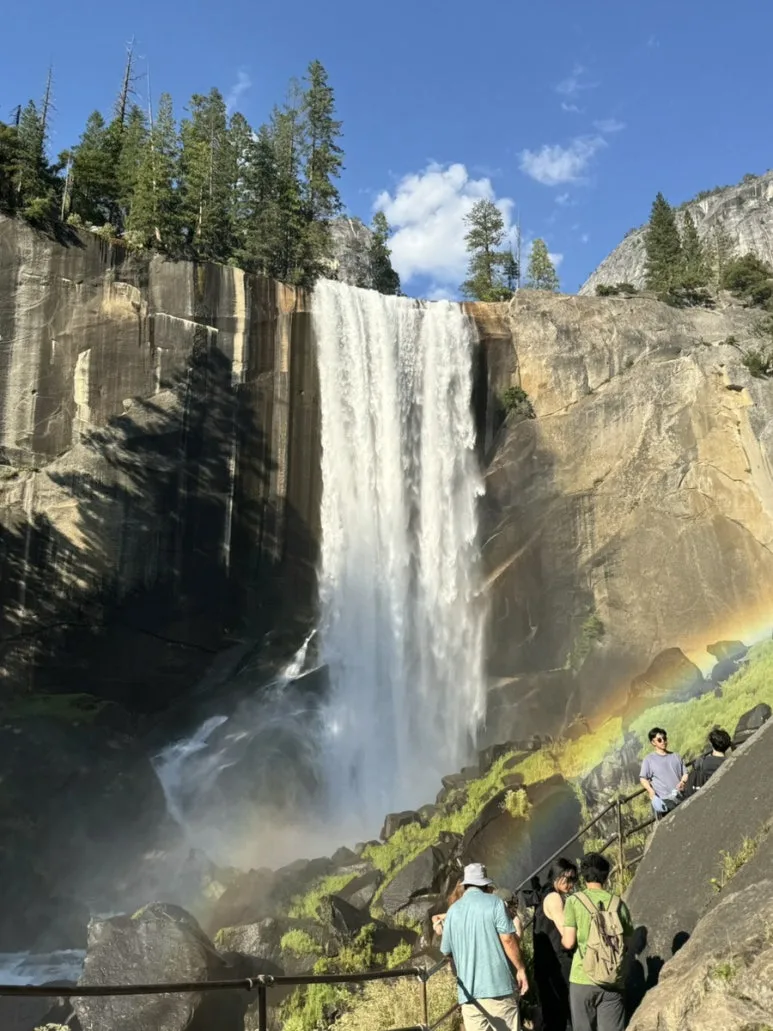 IMG_0967.jpg?type=w773